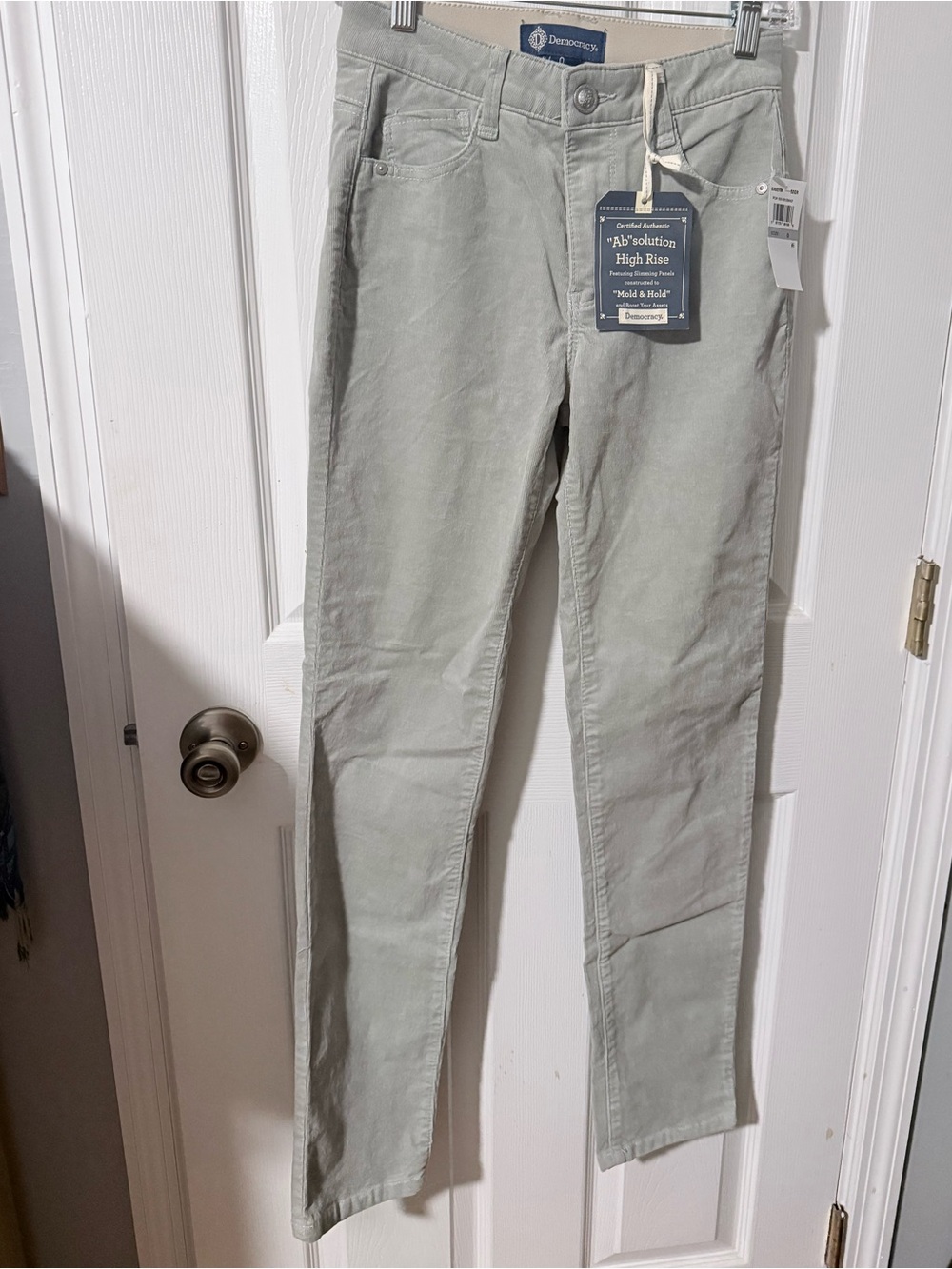 Democracy AbSolution size 0 Light Sage